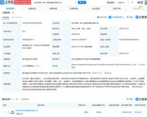 武汉存算一体产业园区建设公司成立，加速区域数字经济发展